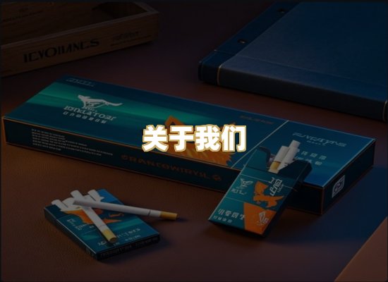 关于我们